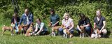 Basenji KSM Muenster 2014 (1065)